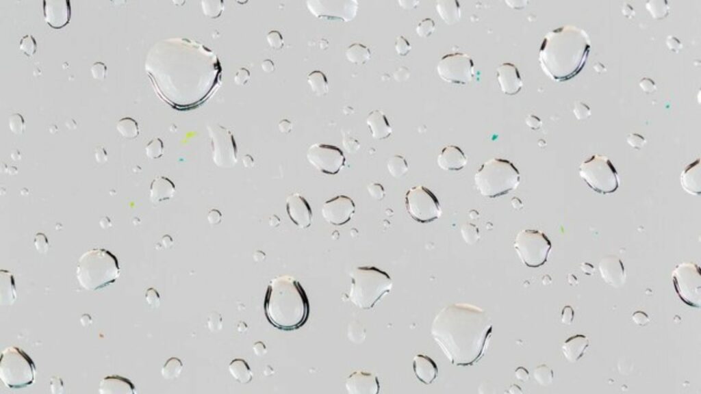 Albion (Disease), Albion Water Treatment, Water Treatment UK, Steam Boilers UK, Legionella Control UK, Water Treatment Plant UK, Water Treatment Equiptment UK, Commercial Water Systems UK